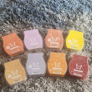 Scentsy Wax Melts Variety Pack 8 bars